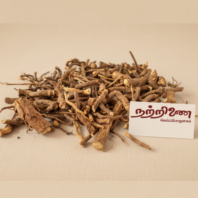 Nannari Ver (Sarsaparilla Root)