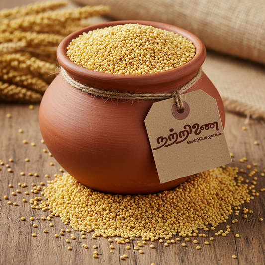 Thinai Foxtail Millet golden grains in clay pot with Nattrinai tag